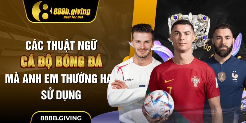 Các thuật ngữ cá độ bóng đá mà anh em thường hay sử dụng