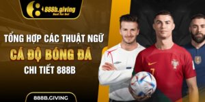 Các Thuật Ngữ Cá Độ Bóng Đá